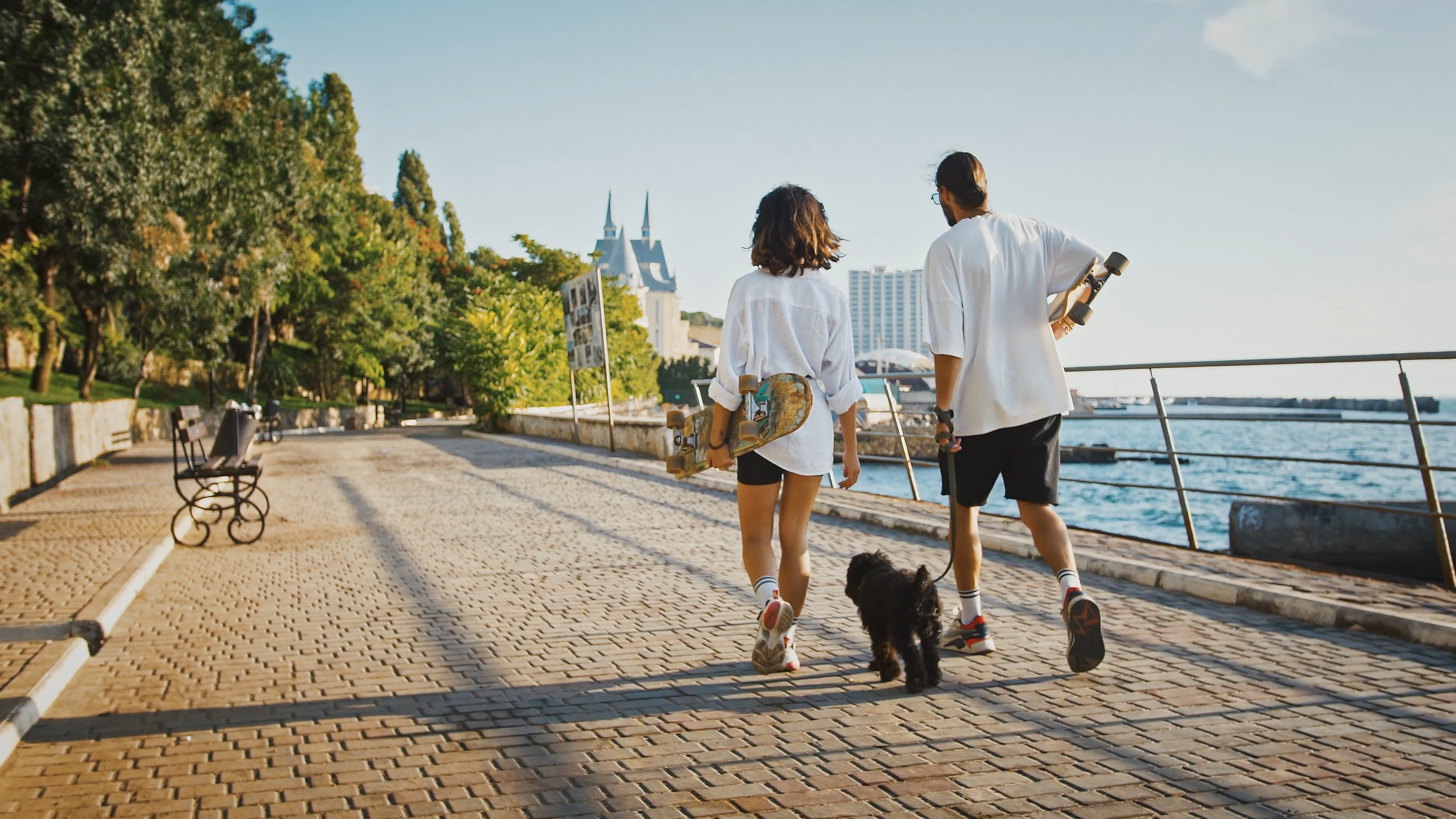 Urban Adventures With Dogs: A Guide to Active City Living