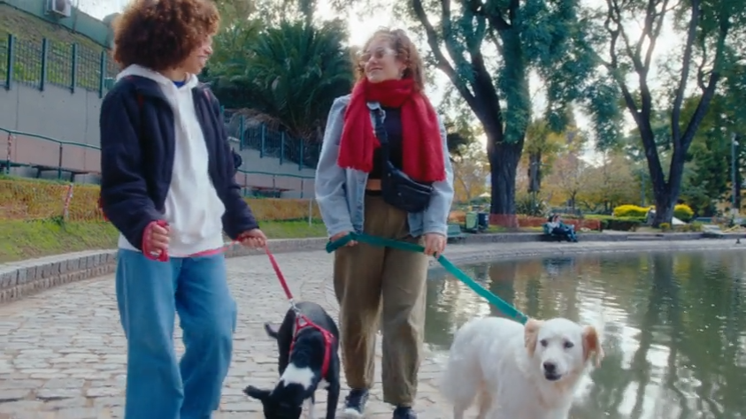 The Complete Guide to Safe and Enjoyable Dog Walking