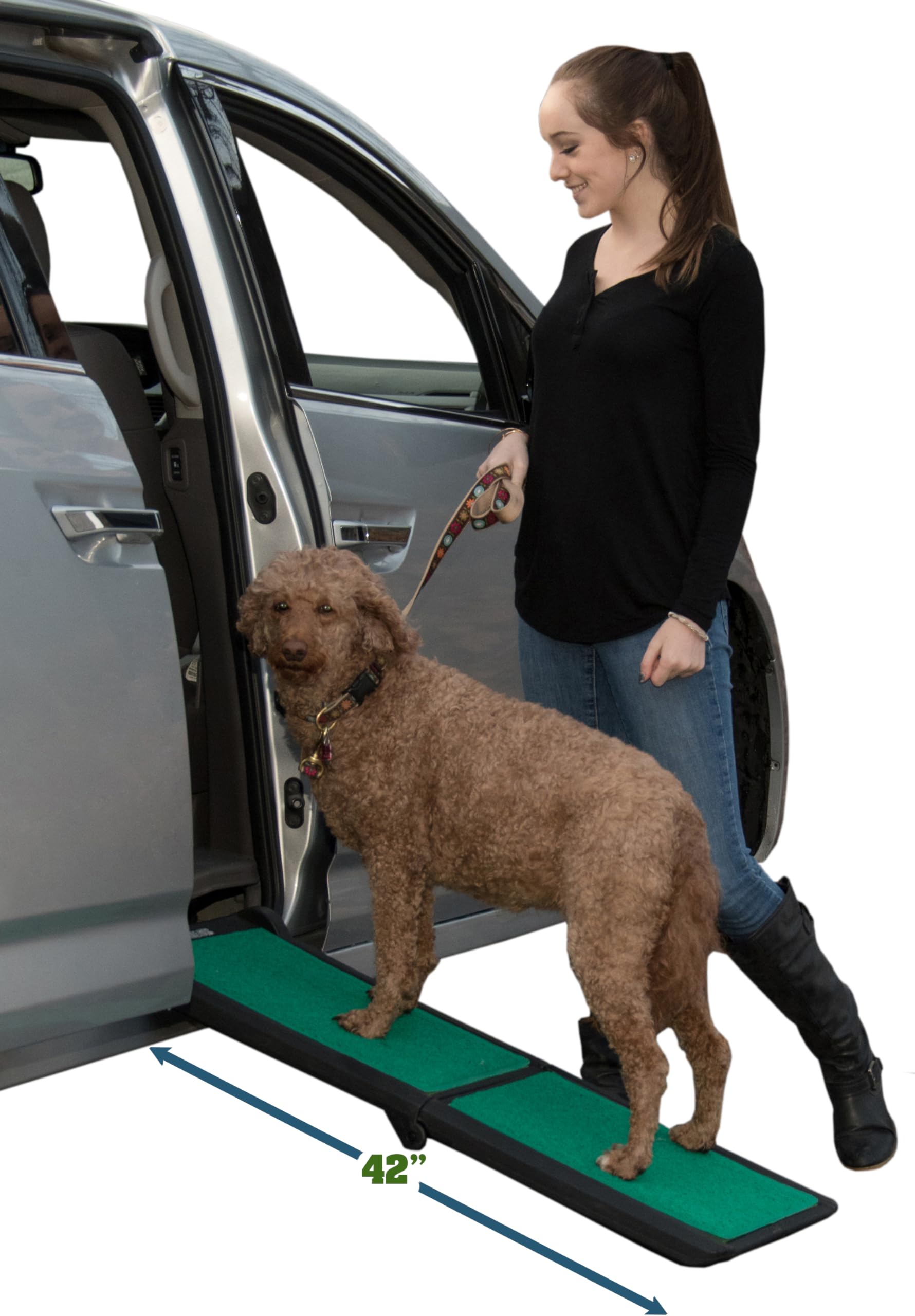 Pet Gates, Ramps & Stairs
