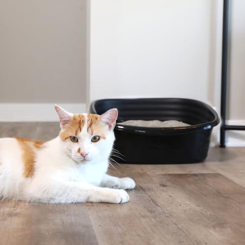Arm & Hammer Large Sifting Cat Litter Box with Microban