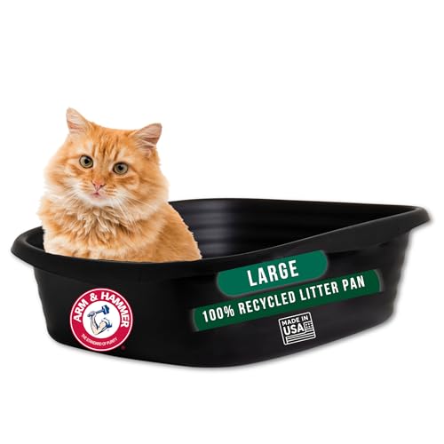 Arm & Hammer Large Sifting Cat Litter Box with Microban