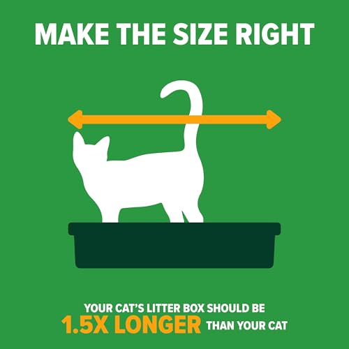 Arm & Hammer Large Sifting Cat Litter Box with Microban