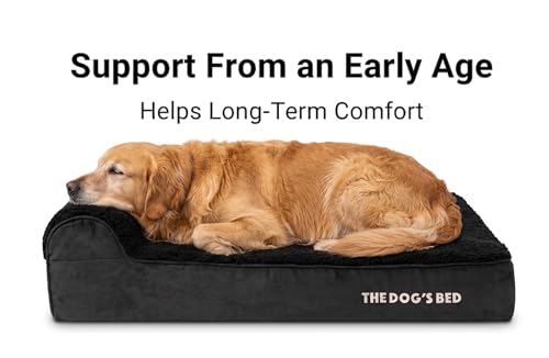 The Dog’s Bed Orthopedic Memory Foam Bed with Headrest