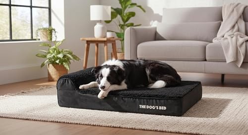 The Dog’s Bed Orthopedic Memory Foam Bed with Headrest