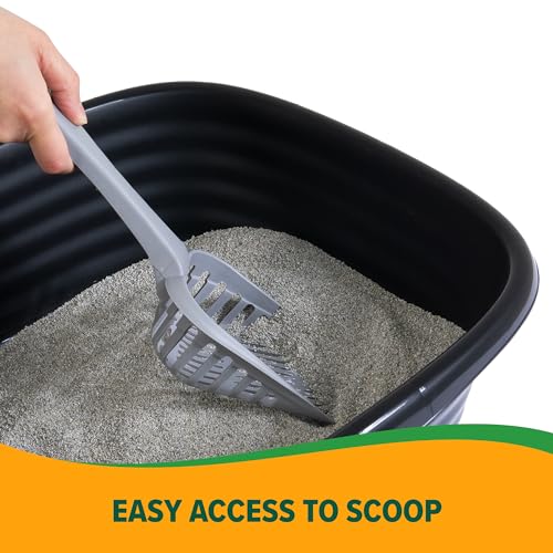 Arm & Hammer Large Sifting Cat Litter Box with Microban