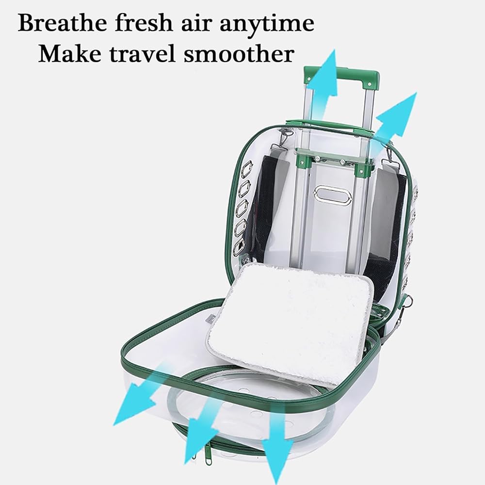 Clear Rolling Pet Carrier Suitcase for Cats and Puppies