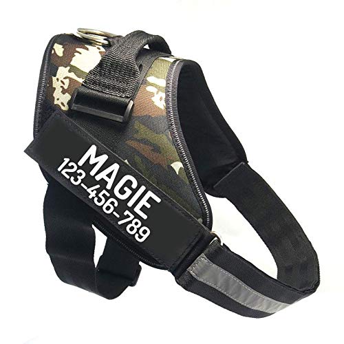 PawPawify Personalized No-Pull Dog Harness with Name and Phone