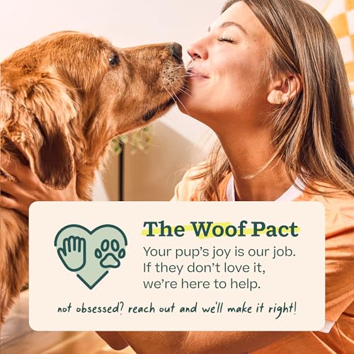 WOOF Pupsicle Peanut Butter and Beef Refill Treat Pops