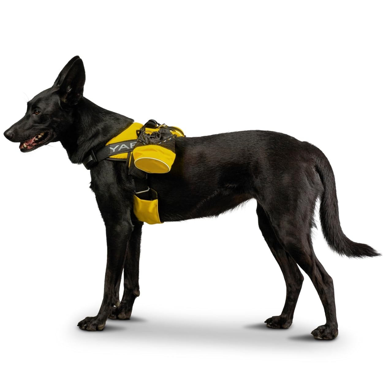 YAP Beta Noir Choke-Free No-Pull Dog Harness with Handle