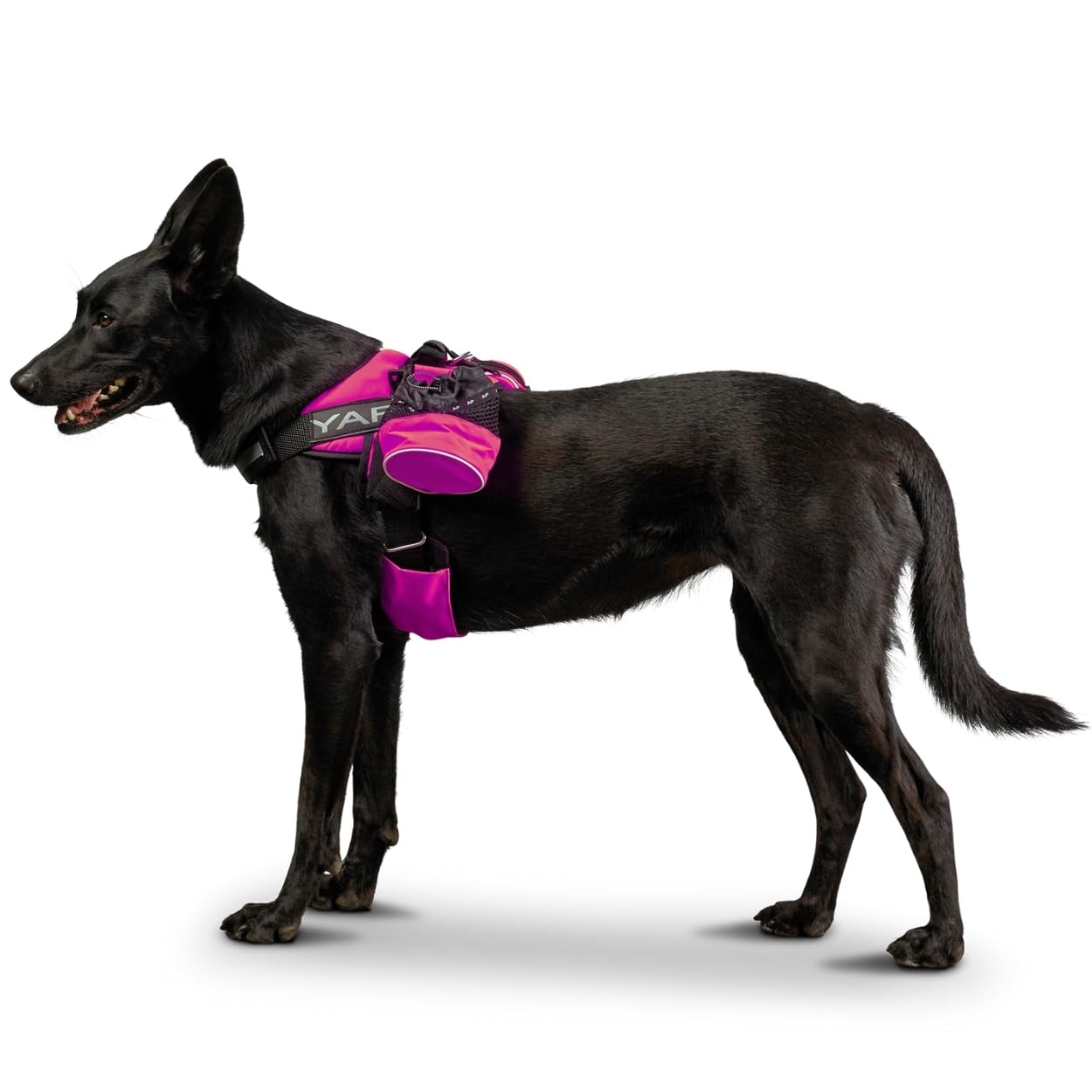YAP Beta Noir Choke-Free No-Pull Dog Harness with Handle