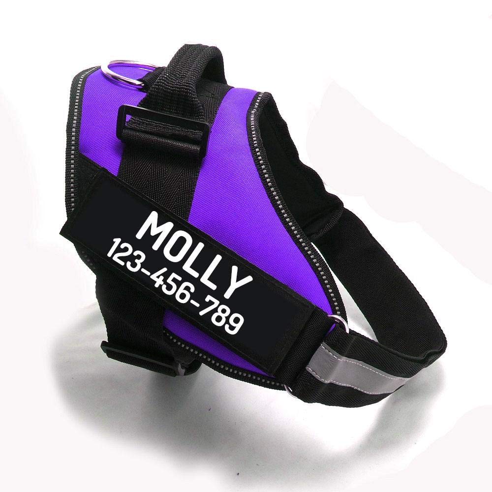 PawPawify Personalized No-Pull Dog Harness with Name and Phone