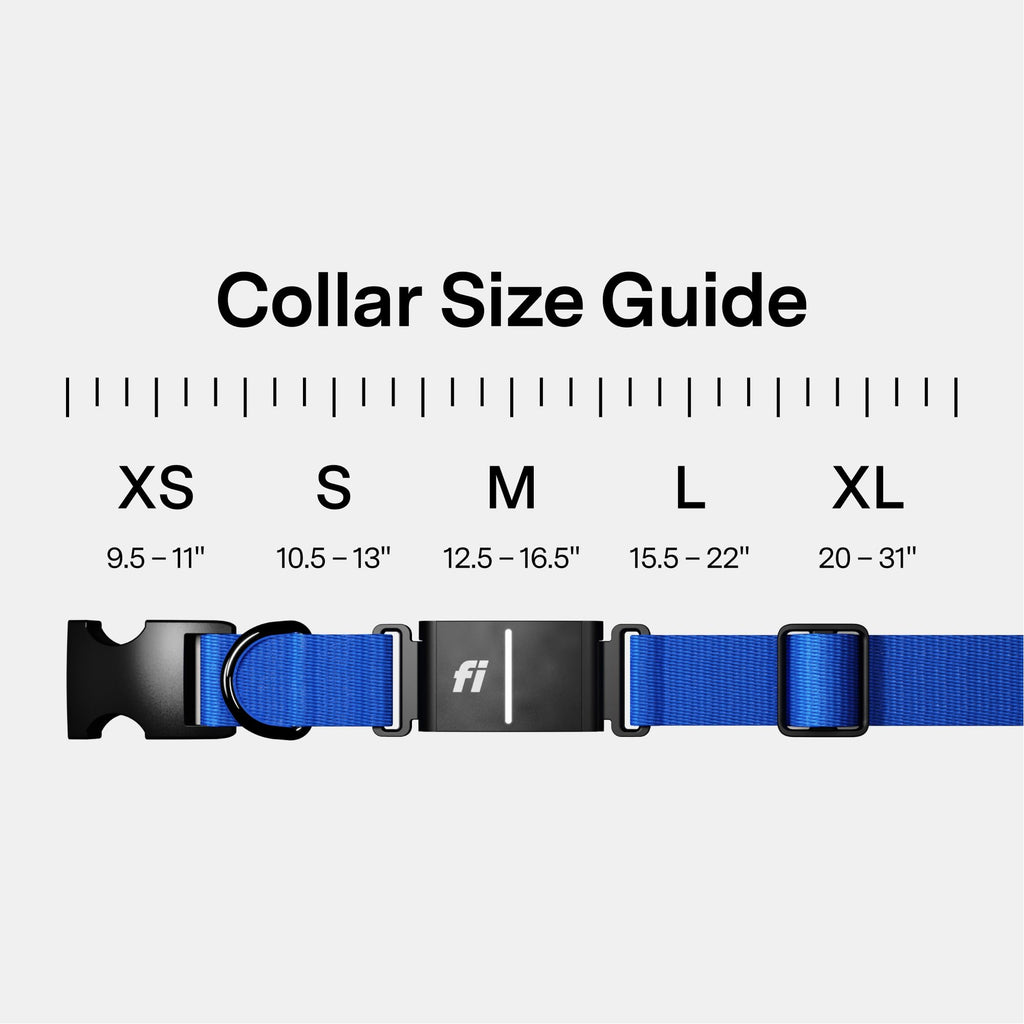 Fi Series 3+ GPS Smart Dog Collar with Health Monitoring