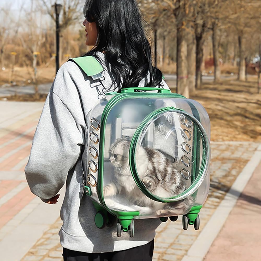 Clear Rolling Pet Carrier Suitcase for Cats and Puppies