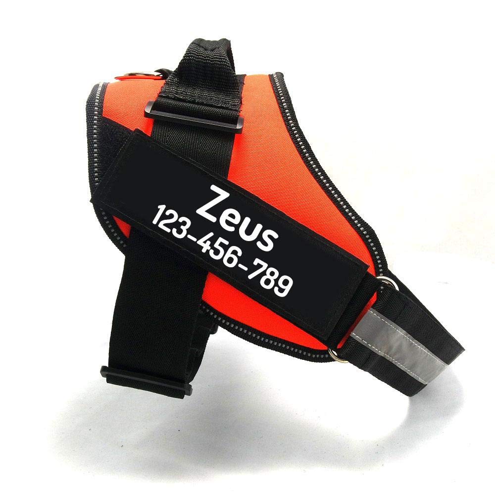 PawPawify Personalized No-Pull Dog Harness with Name and Phone