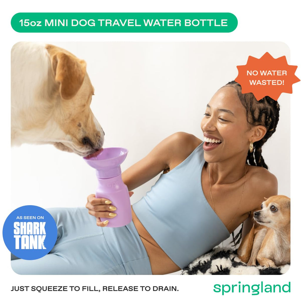 Springer 22 oz Leak-Proof Portable Dog Water Bottle