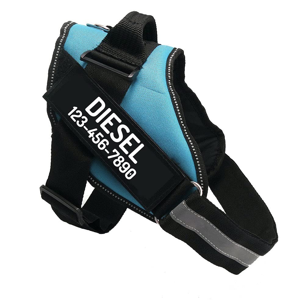 PawPawify Personalized No-Pull Dog Harness with Name and Phone