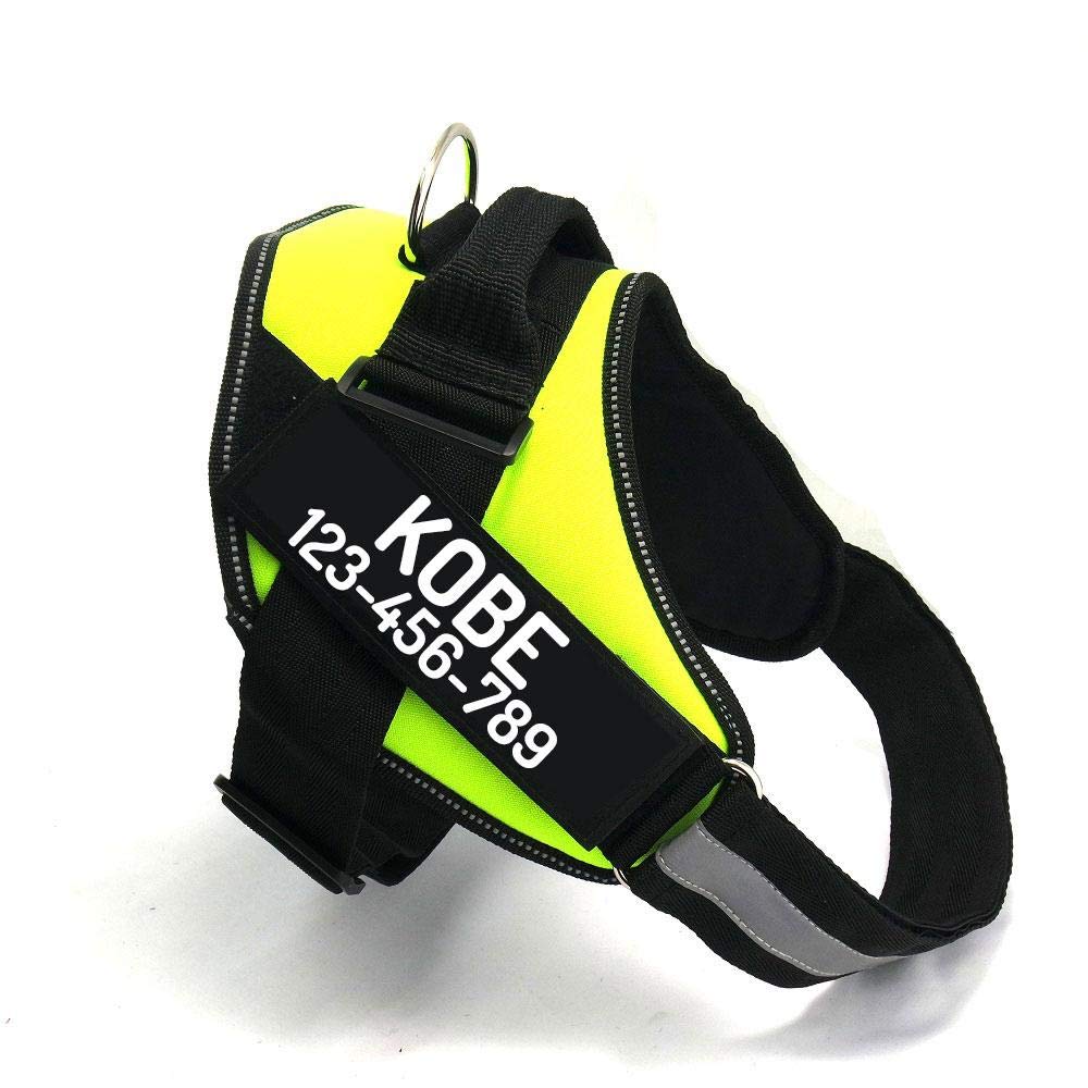 PawPawify Personalized No-Pull Dog Harness with Name and Phone