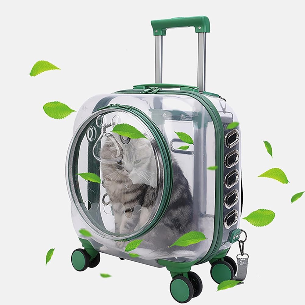Clear Rolling Pet Carrier Suitcase for Cats and Puppies
