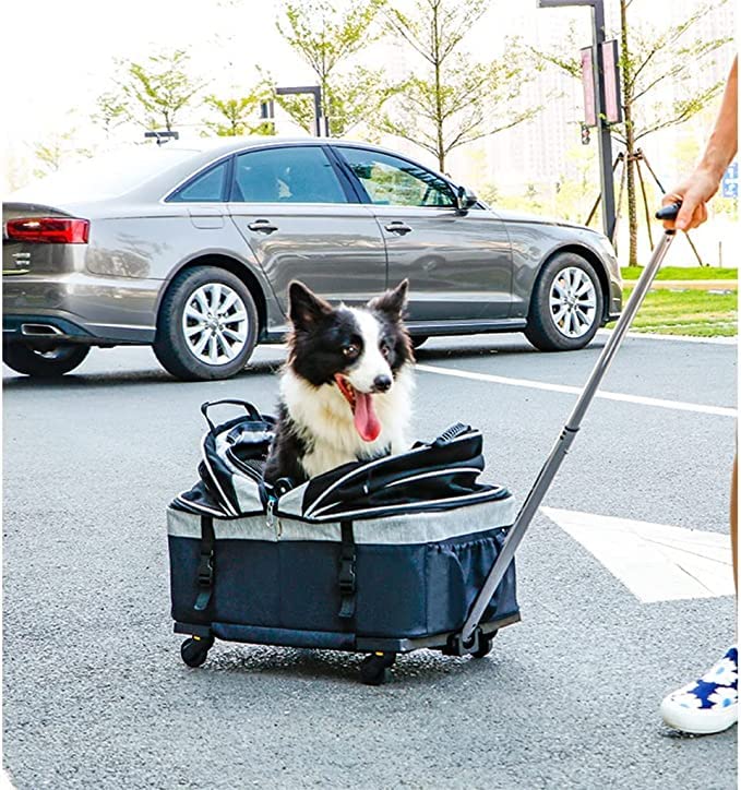 Rolling Pet Carrier for Small Dogs and Cats with Detachable Wheels