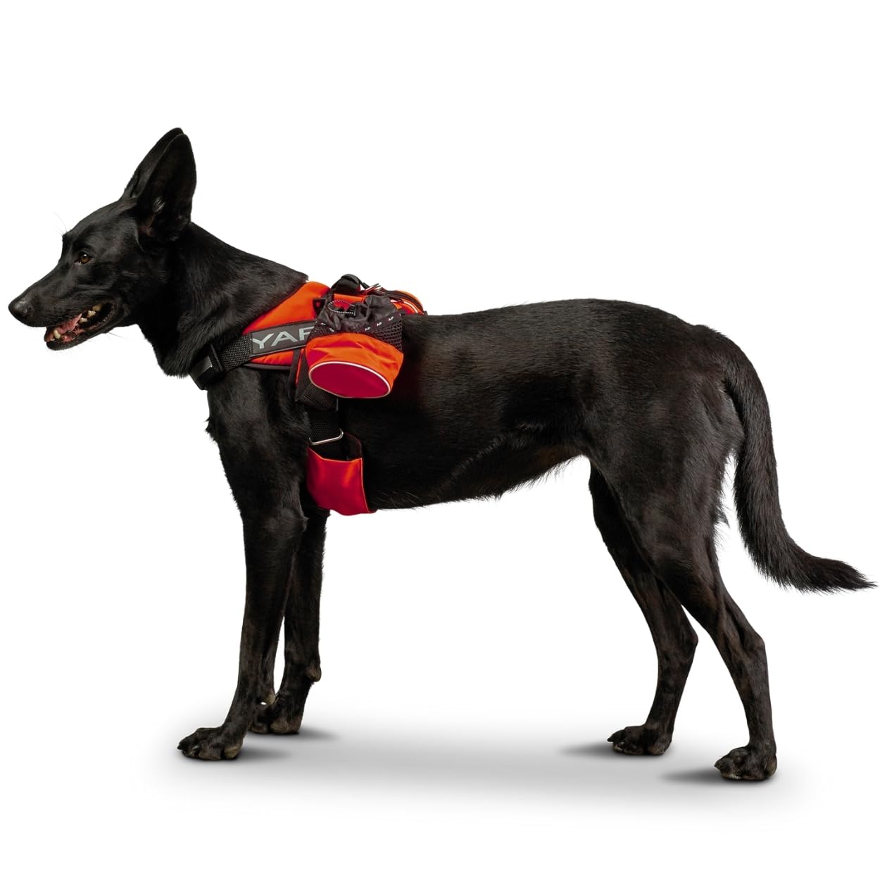 YAP Beta Noir Choke-Free No-Pull Dog Harness with Handle