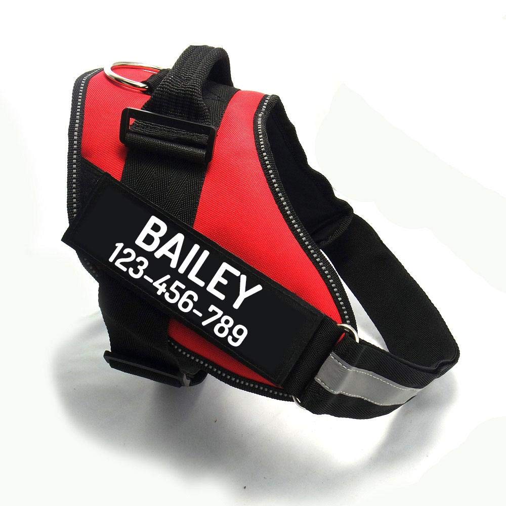PawPawify Personalized No-Pull Dog Harness with Name and Phone