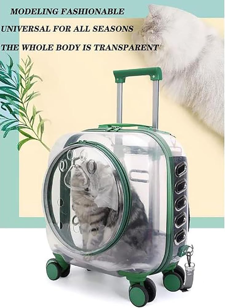 Clear Rolling Pet Carrier Suitcase for Cats and Puppies