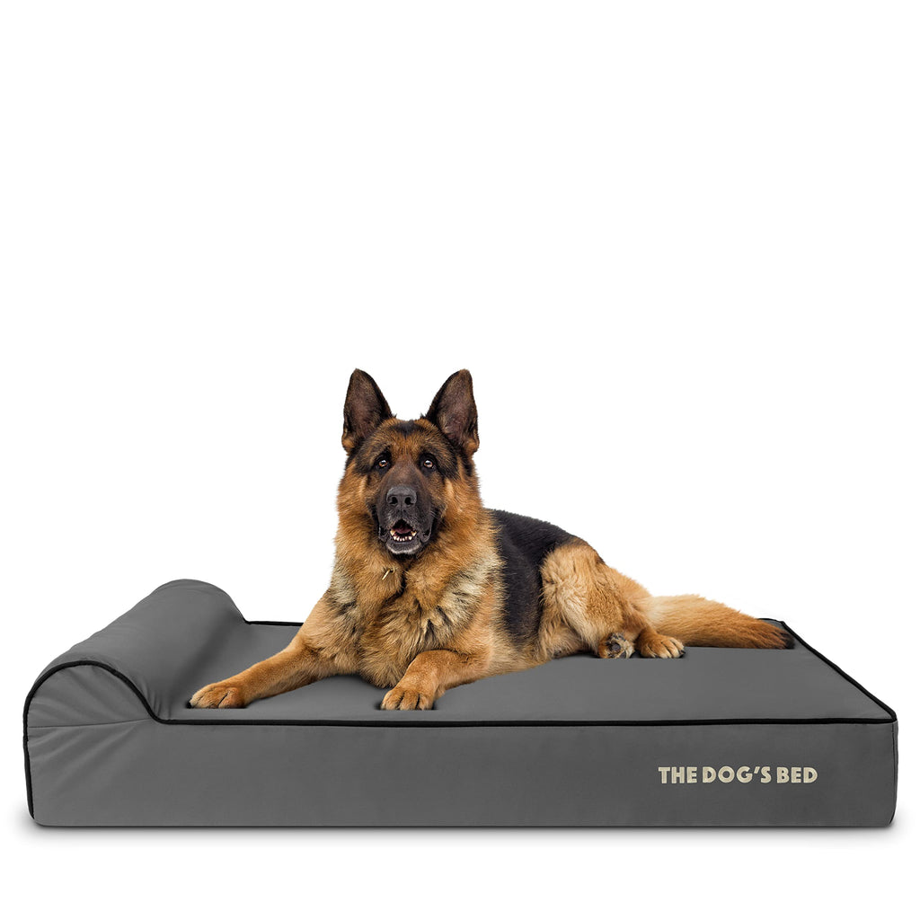 The Dog’s Bed Orthopedic Memory Foam Bed with Headrest