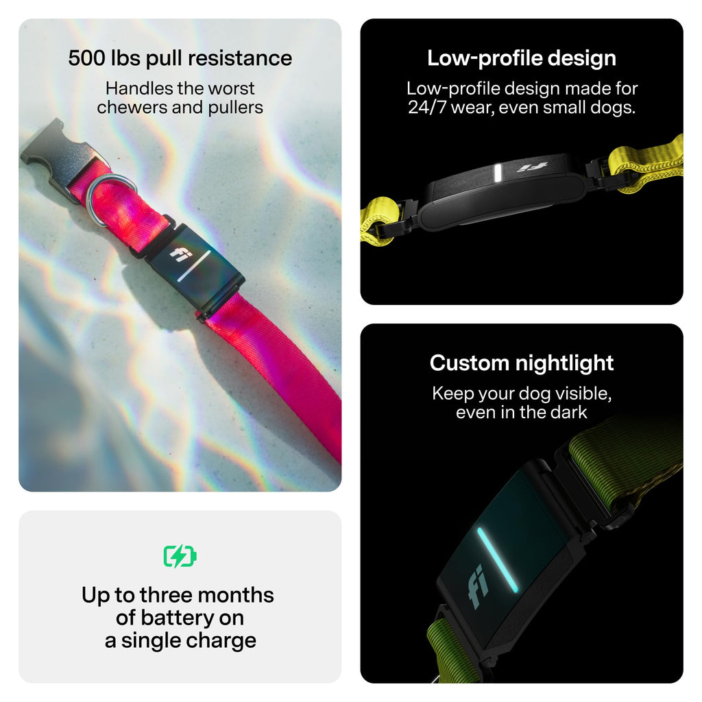 Fi Series 3+ GPS Smart Dog Collar with Health Monitoring