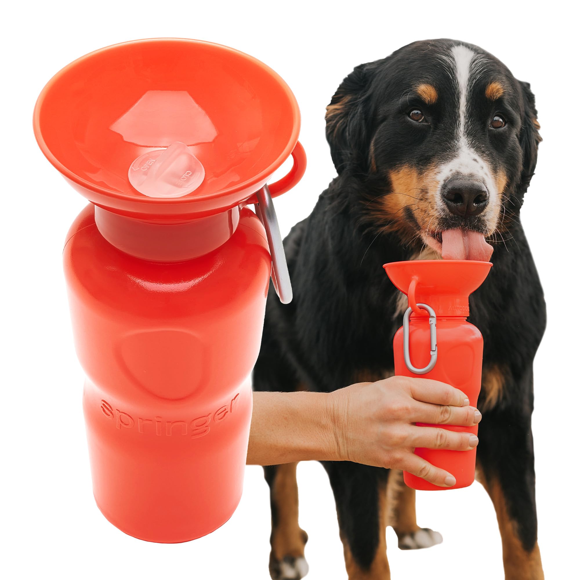 Springer 22 oz Leak-Proof Portable Dog Water Bottle