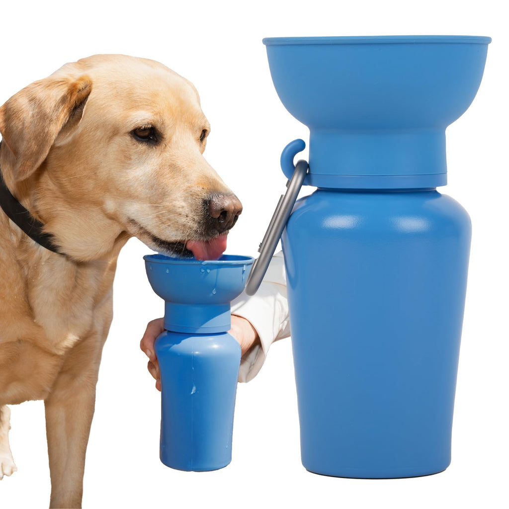 Springer 22 oz Leak-Proof Portable Dog Water Bottle