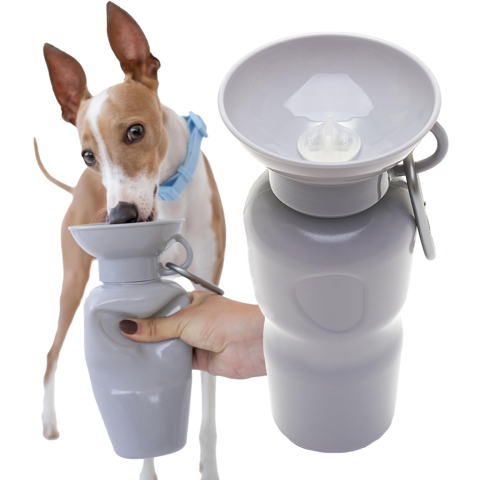Springer 22 oz Leak-Proof Portable Dog Water Bottle