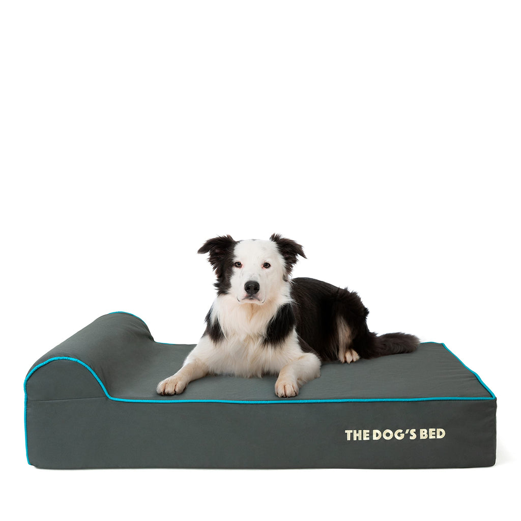 The Dog’s Bed Orthopedic Memory Foam Bed with Headrest