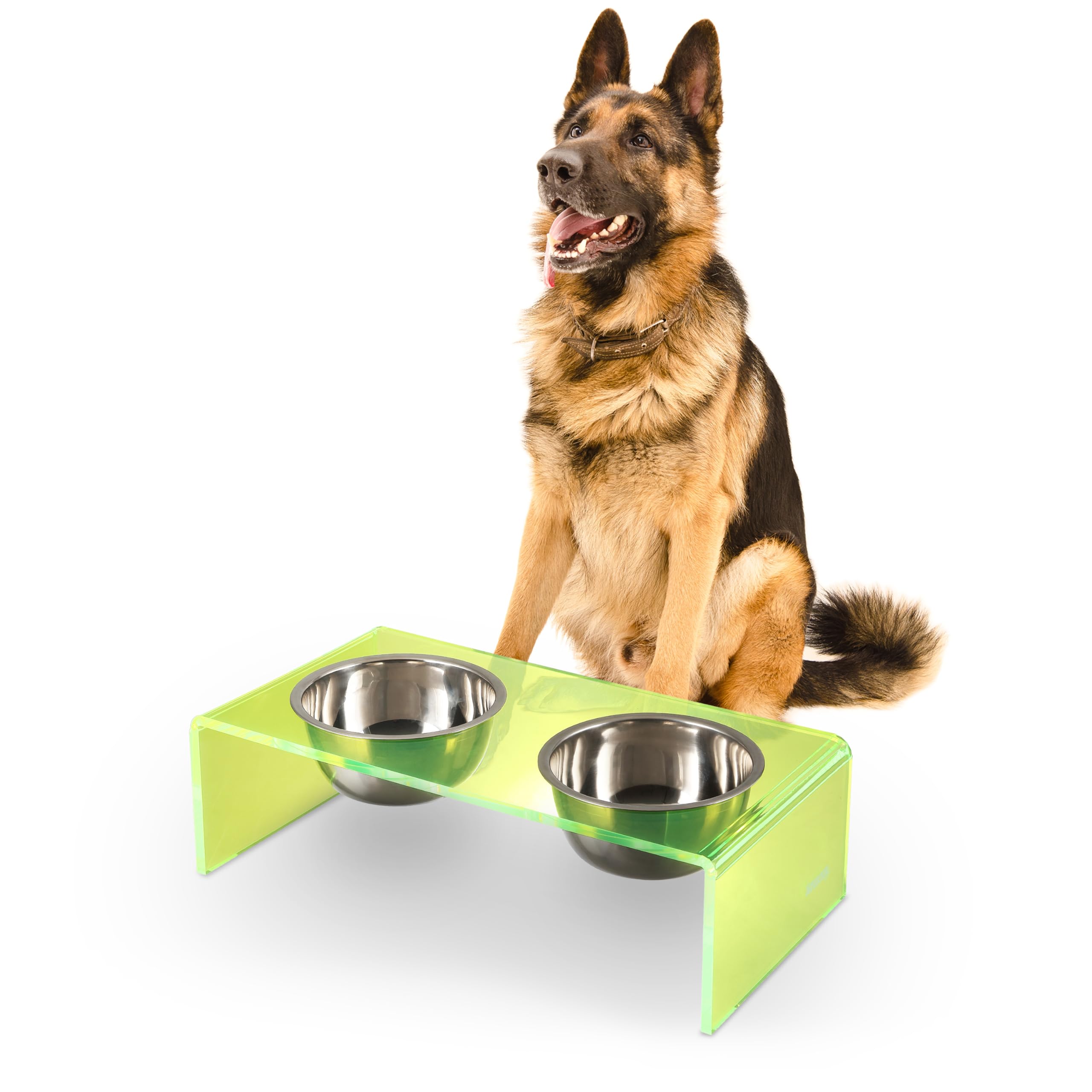 LICKER Acrylic Elevated Pet Feeder with Clear Stand