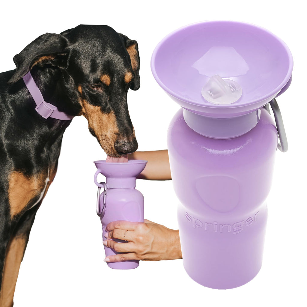 Springer 22 oz Leak-Proof Portable Dog Water Bottle