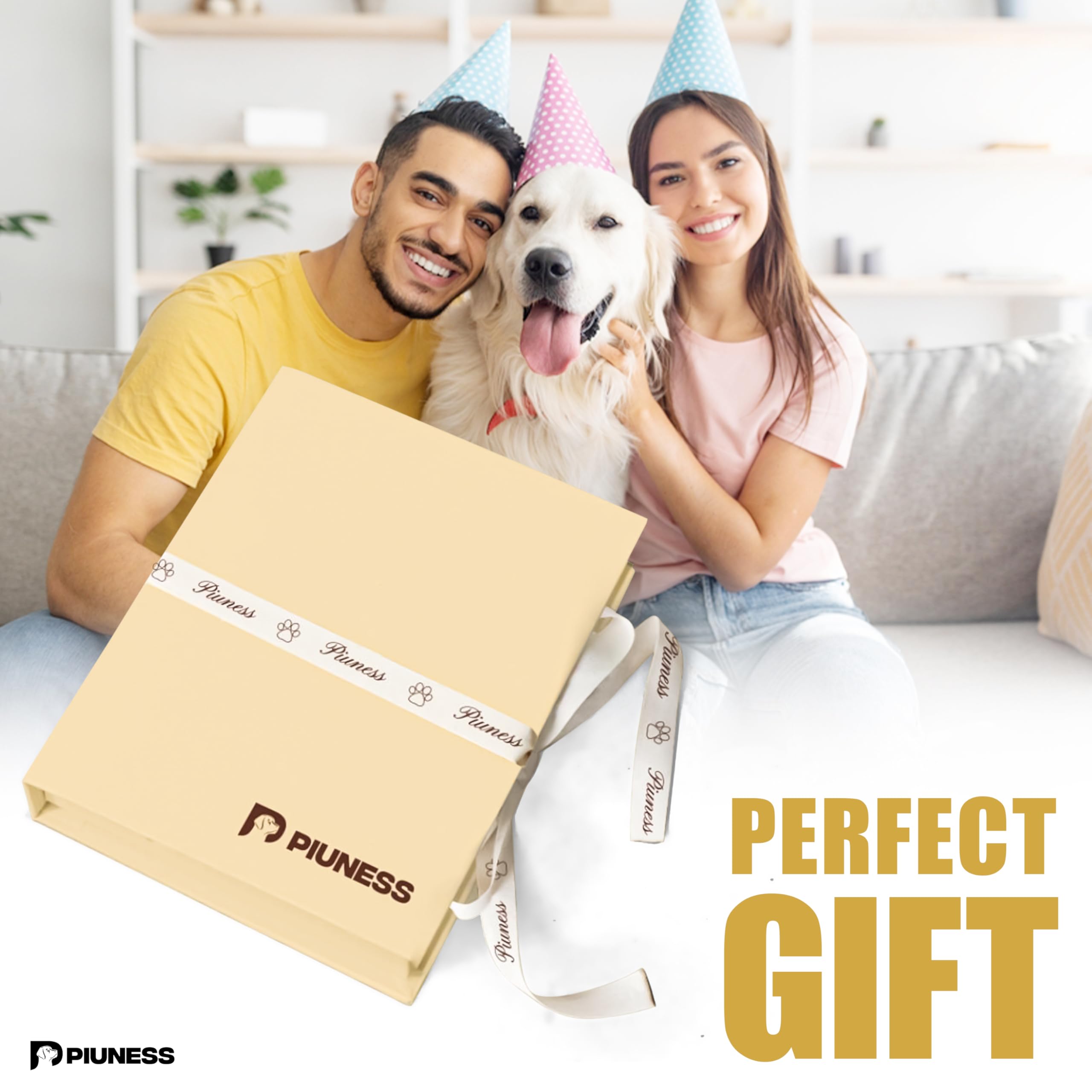 Piuness Genuine Leather Dog Collar and Leash Set