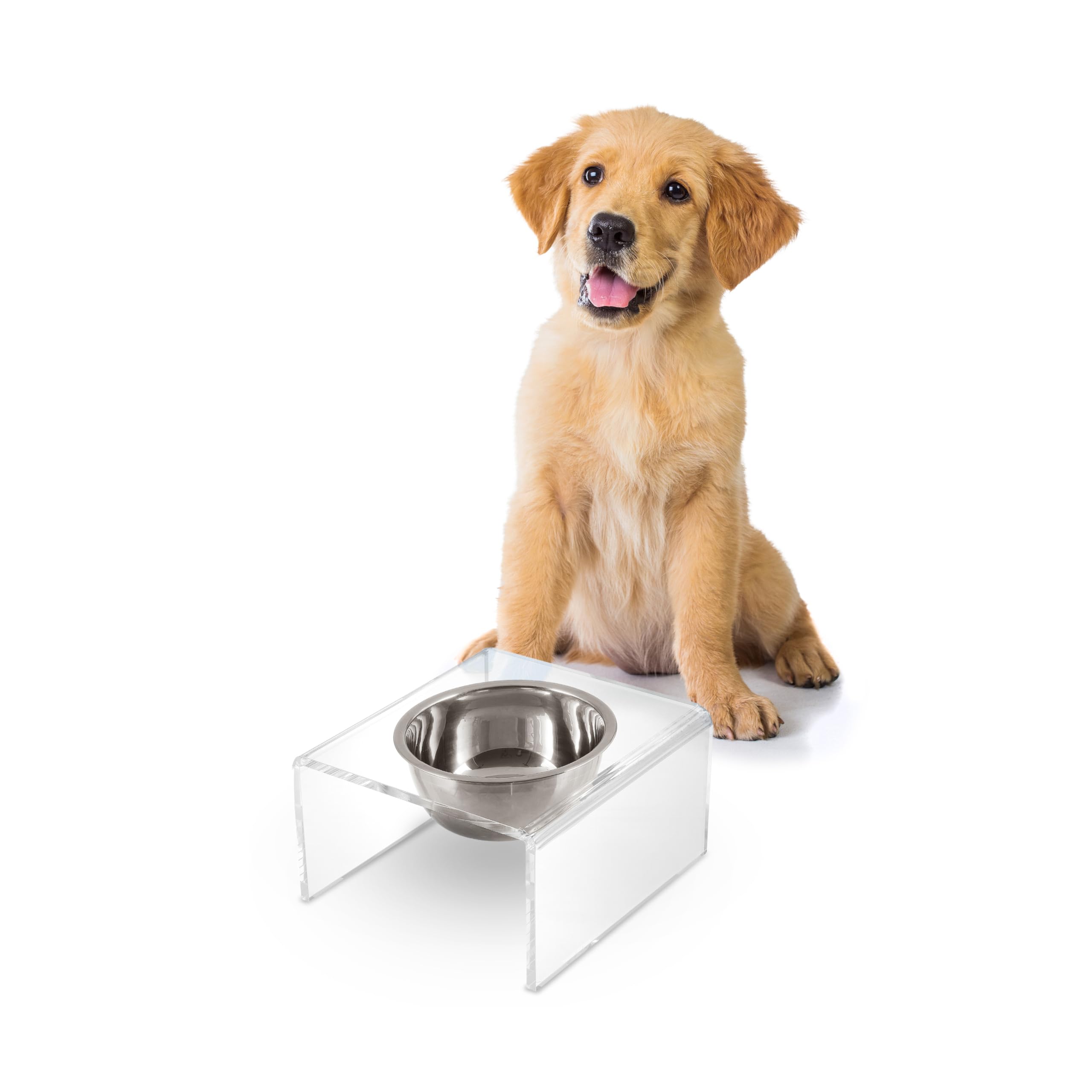 LICKER Acrylic Elevated Pet Feeder with Clear Stand