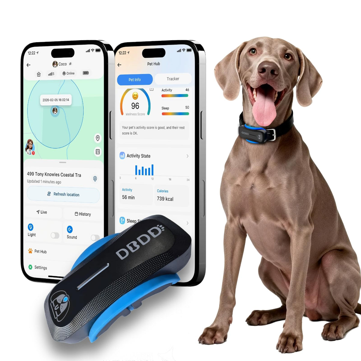 Pet Deals & Special Offers