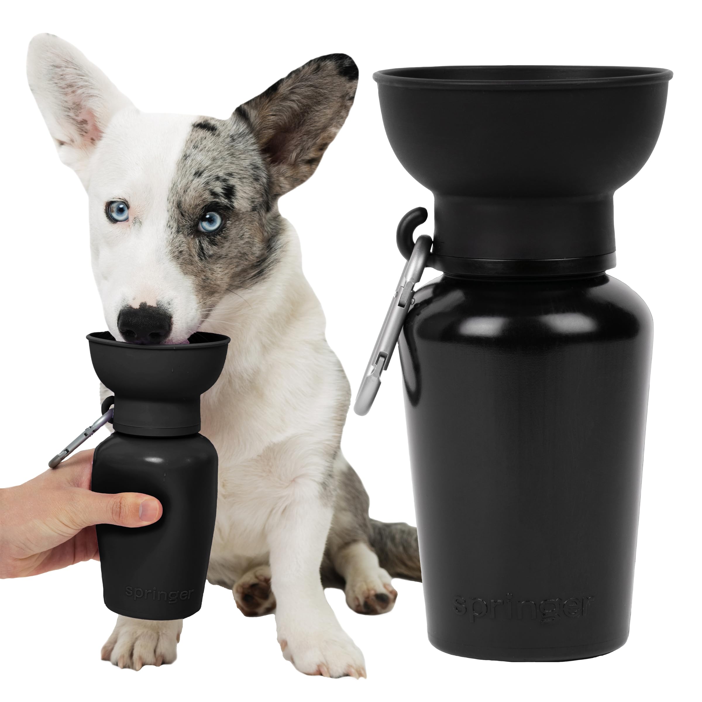 Springer 22 oz Leak-Proof Portable Dog Water Bottle