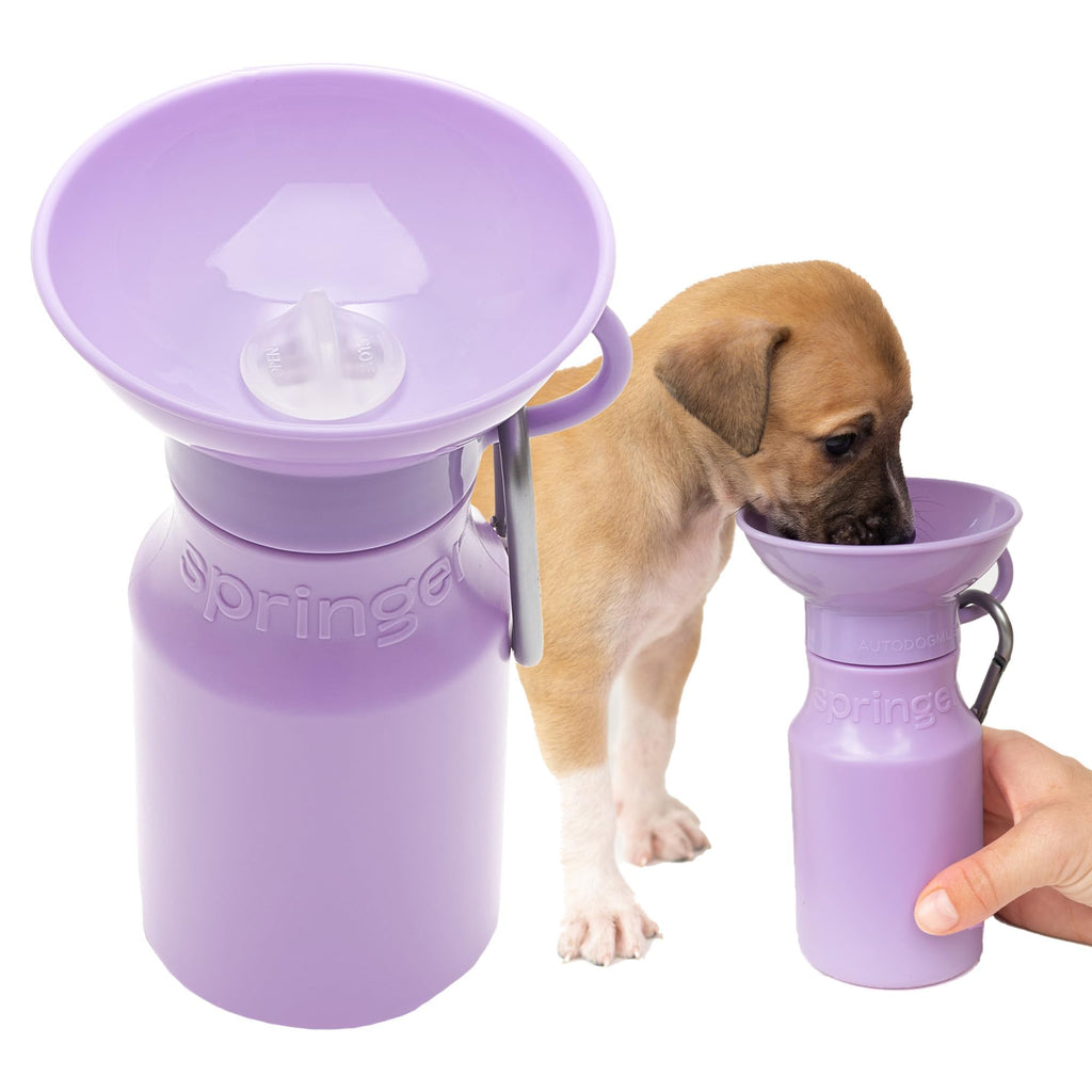 Springer 22 oz Leak-Proof Portable Dog Water Bottle