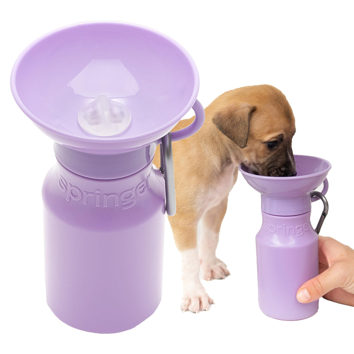 Springer 22 oz Leak-Proof Portable Dog Water Bottle