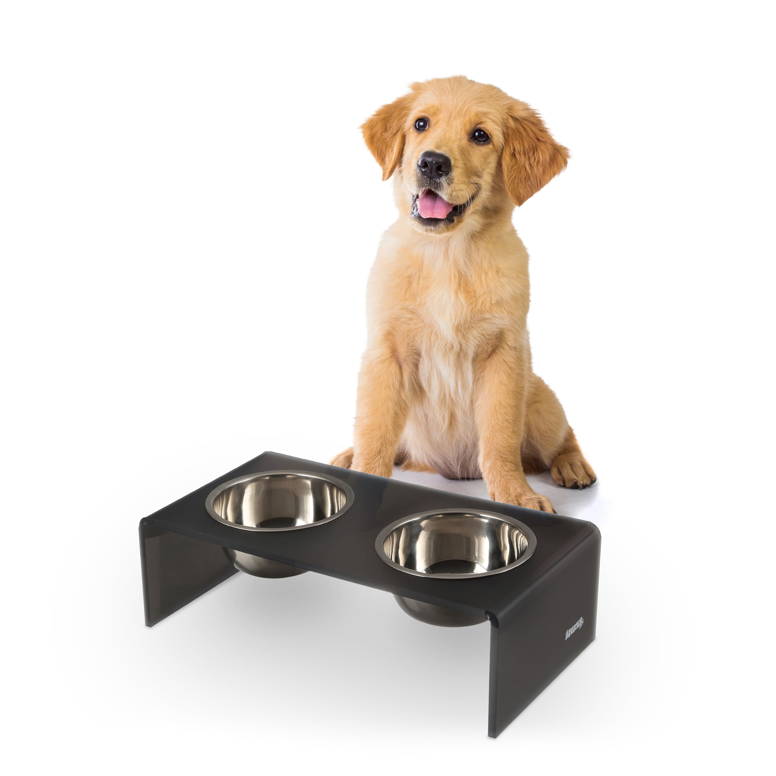 LICKER Acrylic Elevated Pet Feeder with Clear Stand