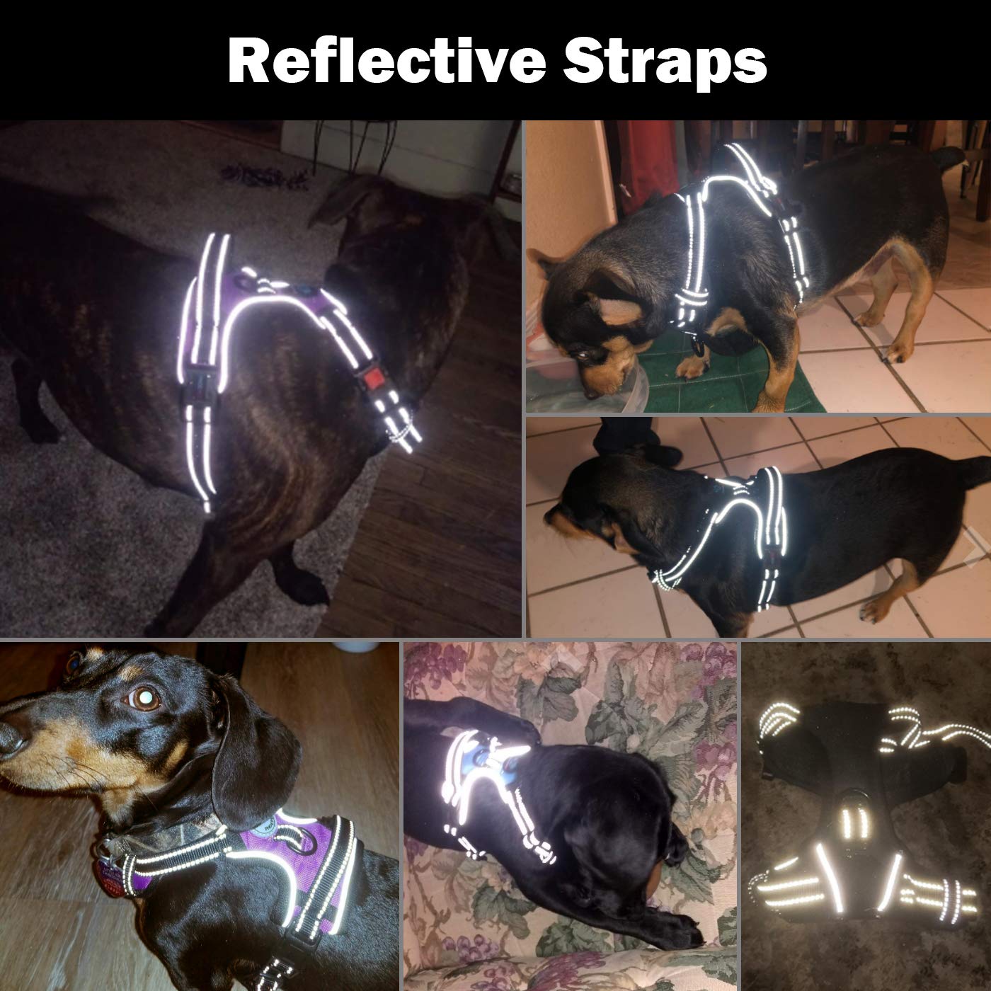 PHOEPET Reflective No-Pull Dog Harness with ID Pocket
