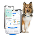 DBDD AI GPS Dog Tracker with Virtual Fence and Health Monitor