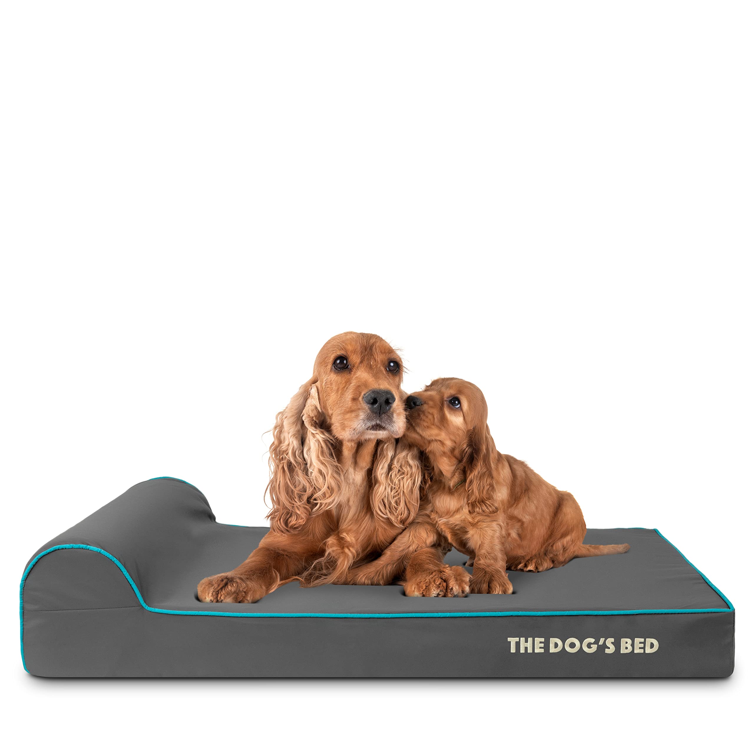 The Dog’s Bed Orthopedic Memory Foam Bed with Headrest