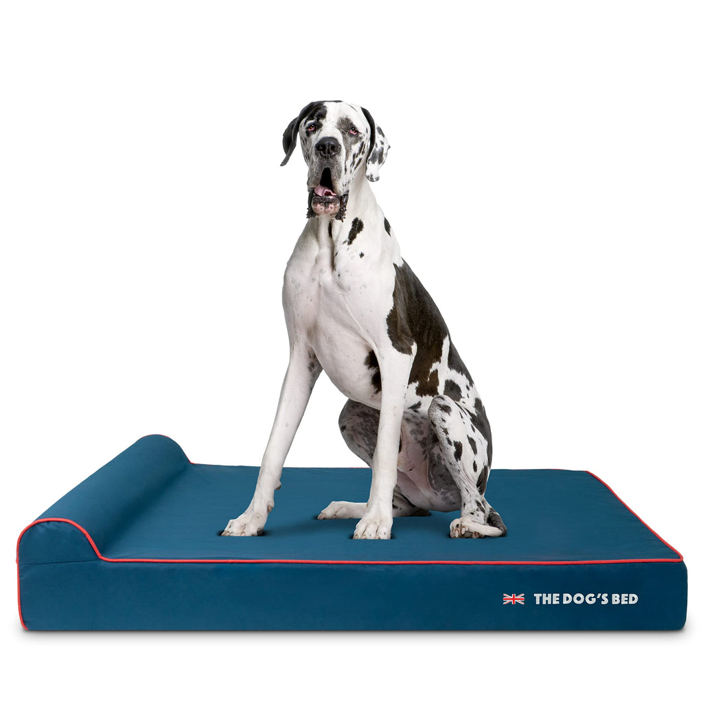 The Dog’s Bed Orthopedic Memory Foam Bed with Headrest
