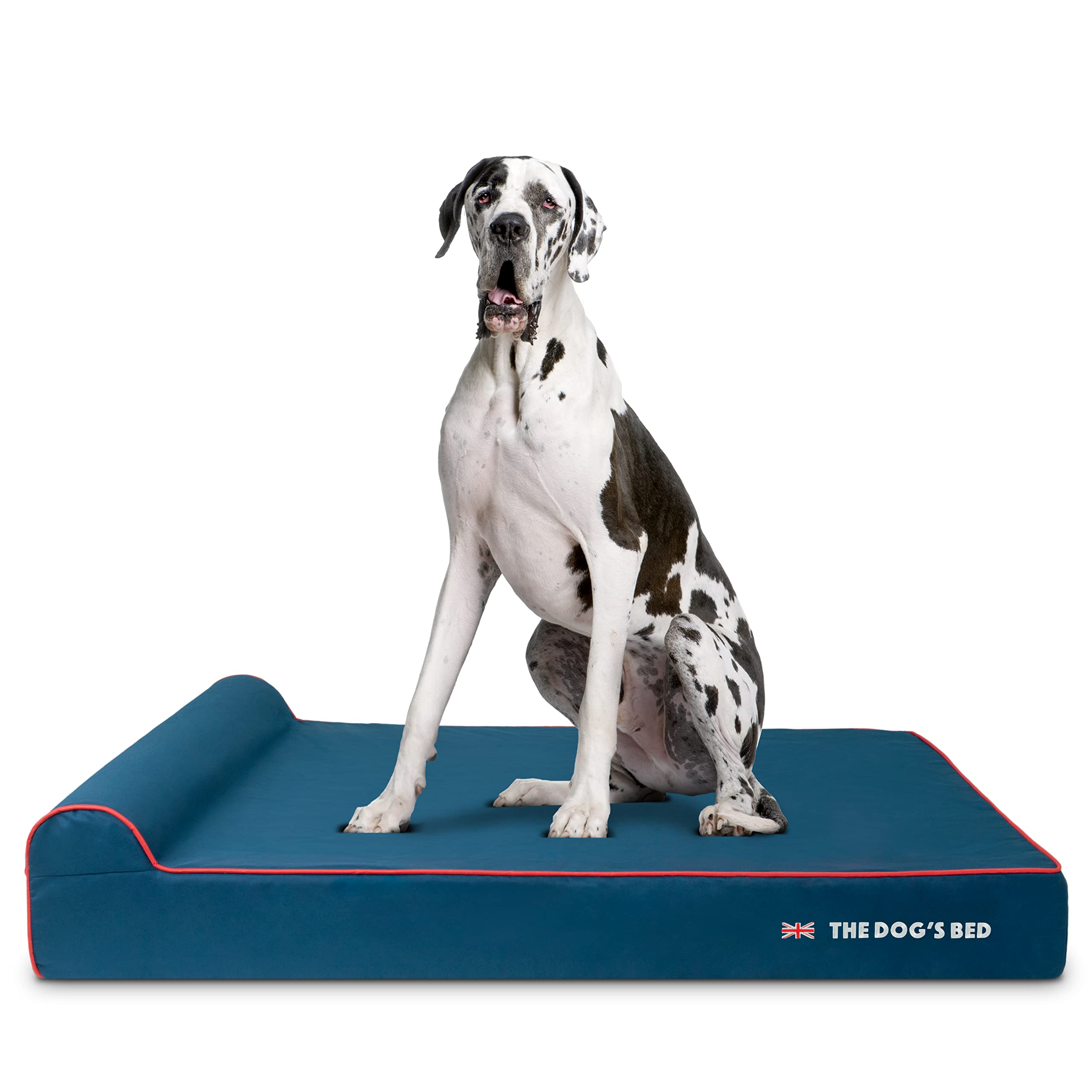 The Dog’s Bed Orthopedic Memory Foam Bed with Headrest