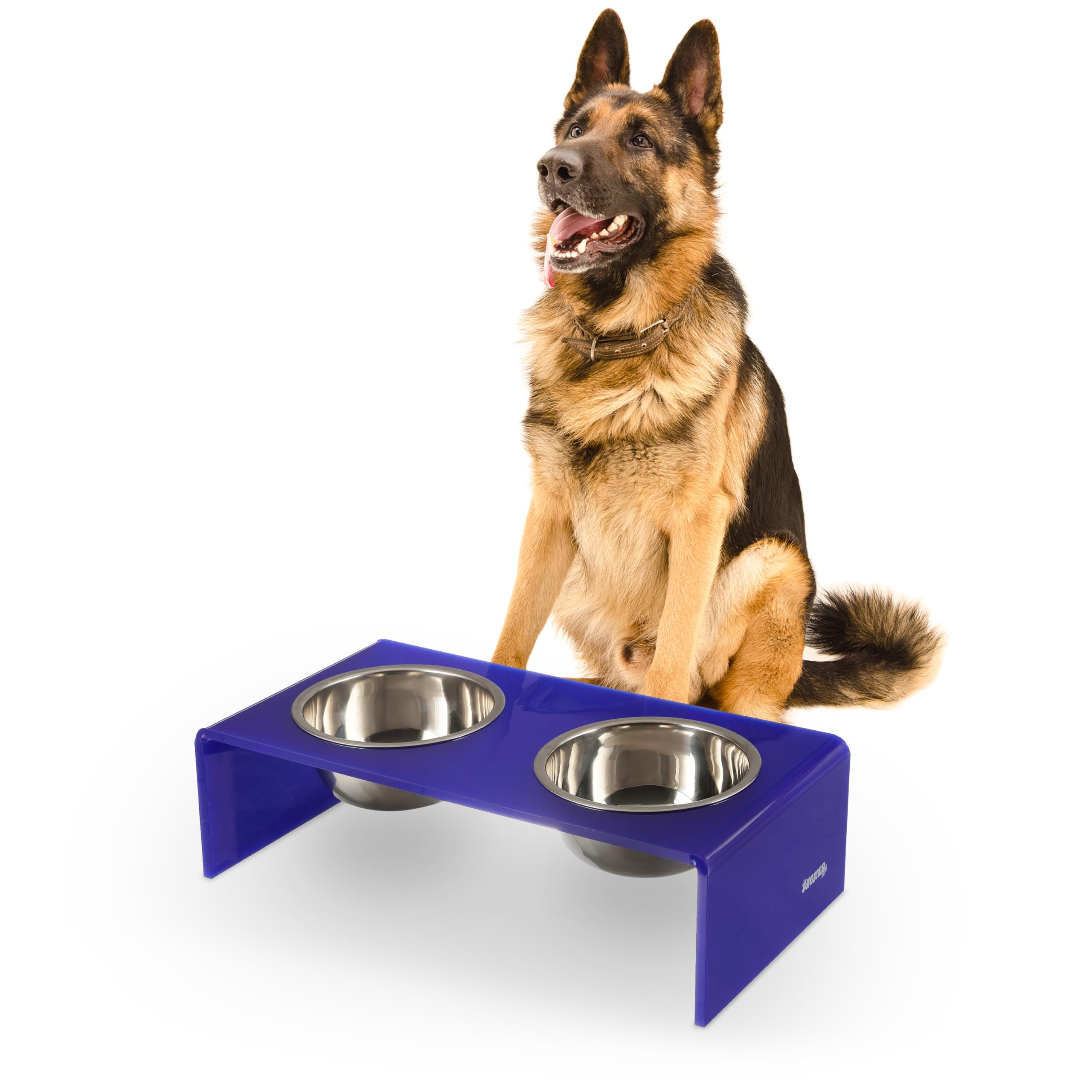 LICKER Acrylic Elevated Pet Feeder with Clear Stand