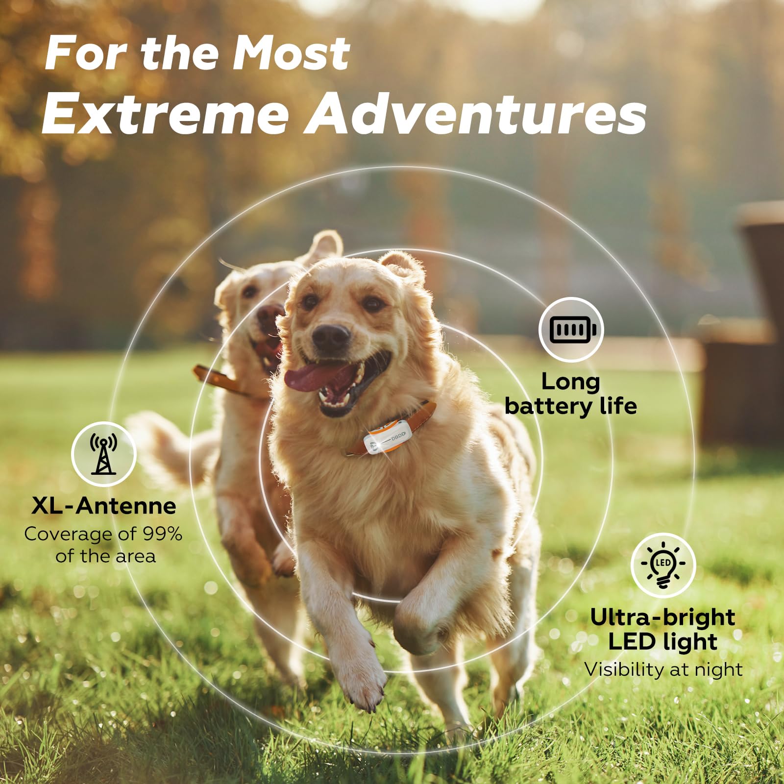 DBDD AI GPS Dog Tracker with Virtual Fence and Health Monitor