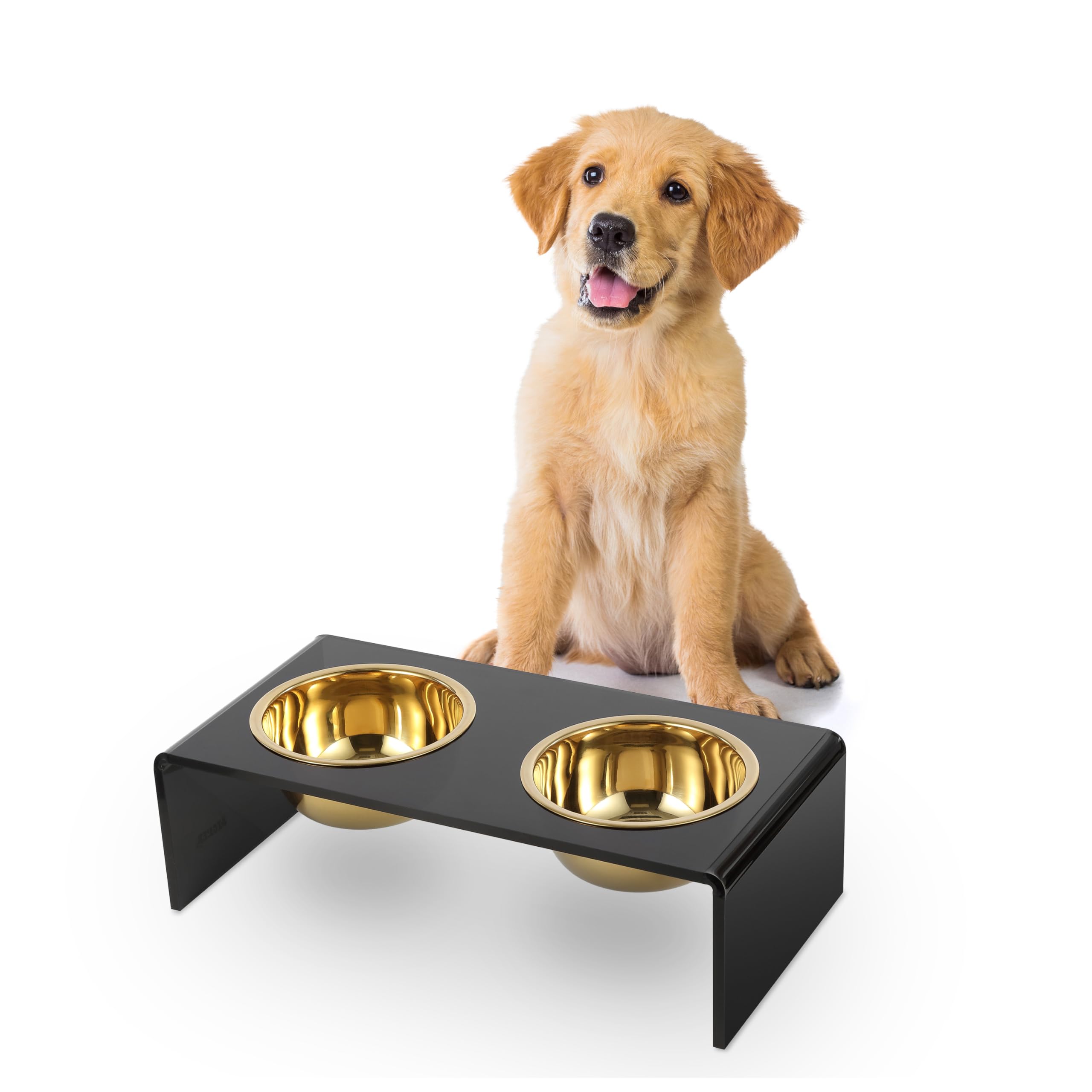 LICKER Acrylic Elevated Pet Feeder with Clear Stand