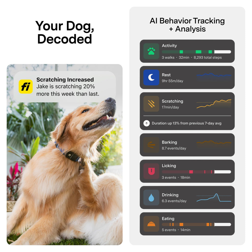 Fi Series 3+ GPS Smart Dog Collar with Health Monitoring